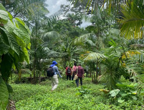 L’Université Miguel Hernández mise sur la coopération internationale à domicile avec un projet engagé en Amazonie
